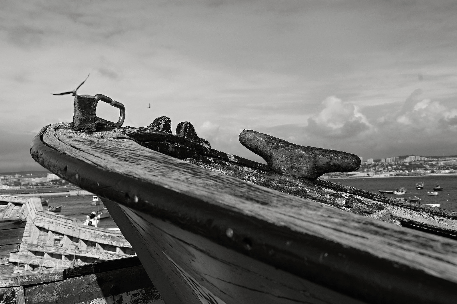 Nikon D610 sample photo. Passado presente photography