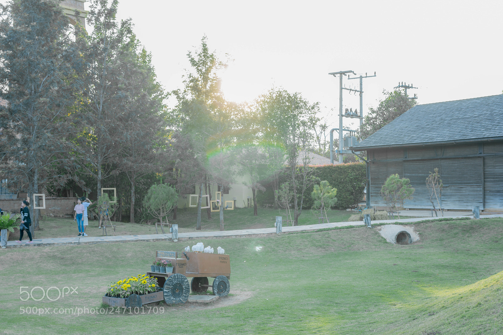 Sony a7 sample photo. Dsc photography