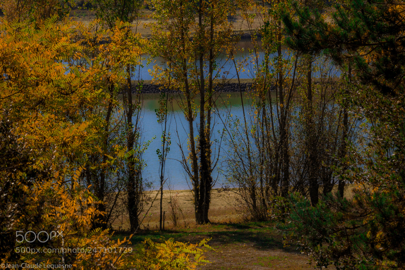 Canon EOS 60D sample photo. Autour du lac 21 photography