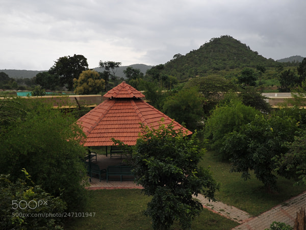 Nikon D700 sample photo. Wildlife resorts in india photography