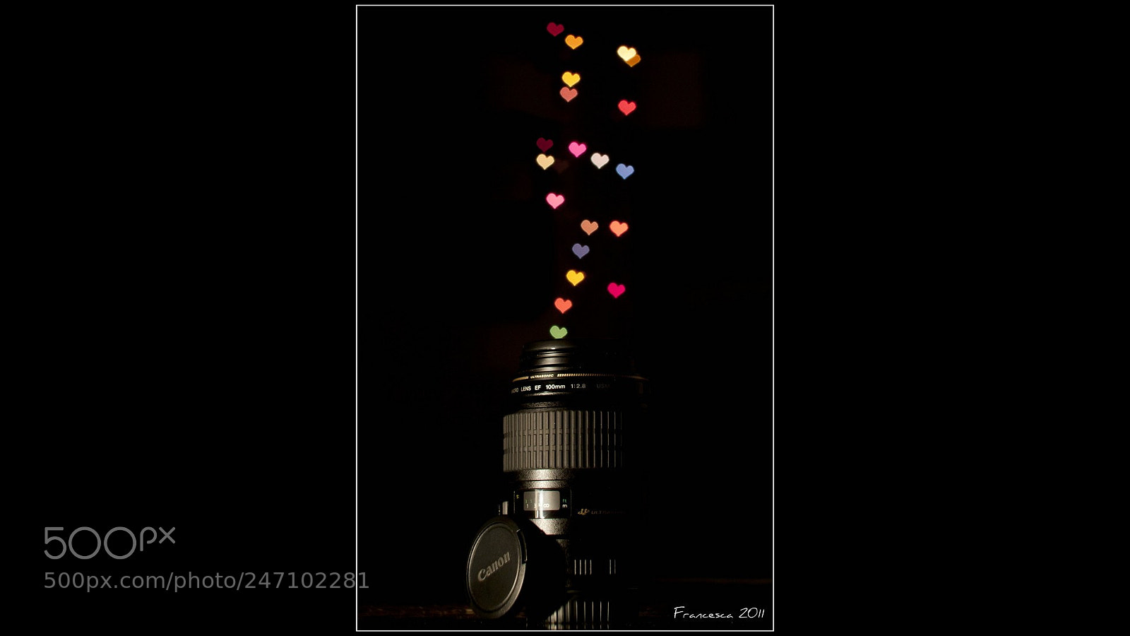 Canon EOS 50D sample photo. Image photography