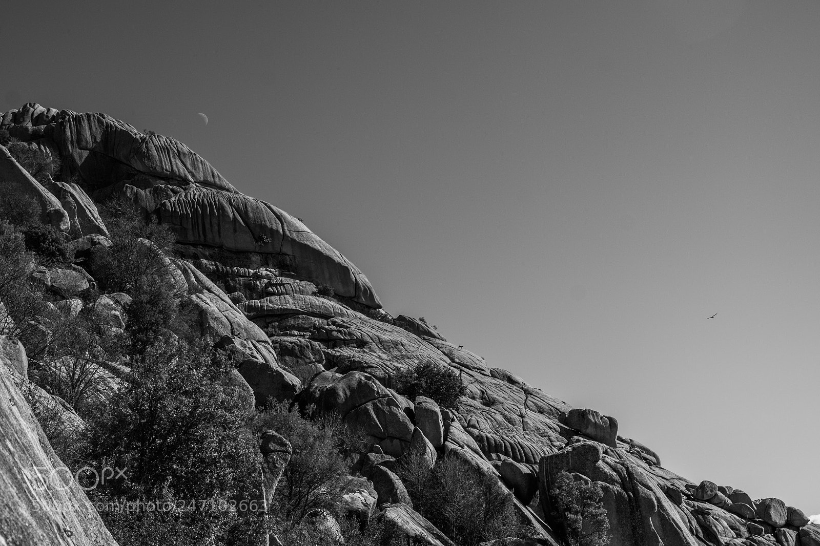 Nikon D7100 sample photo. Moon. photography