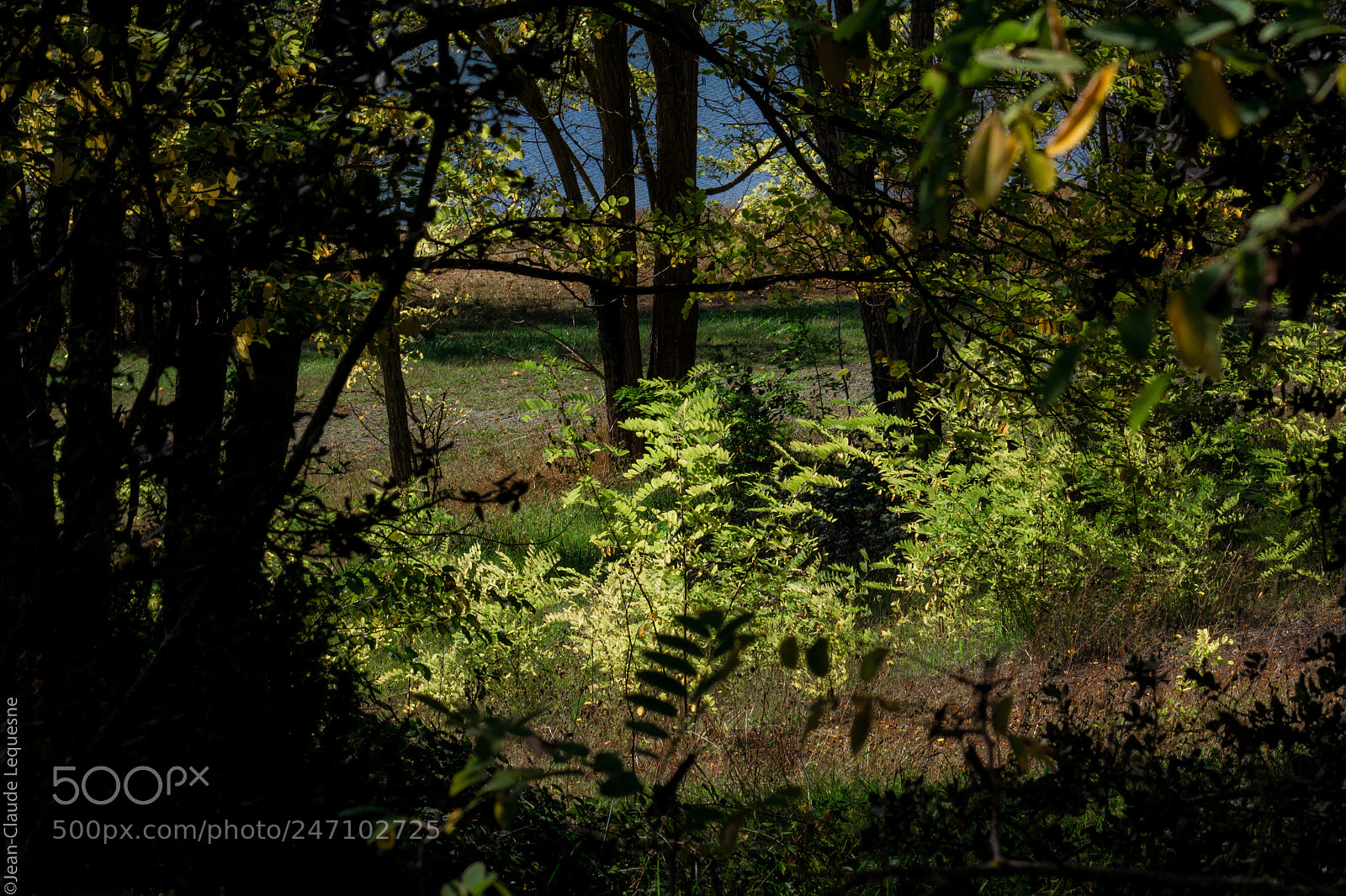 Canon EOS 60D sample photo. Autour du lac 22 photography