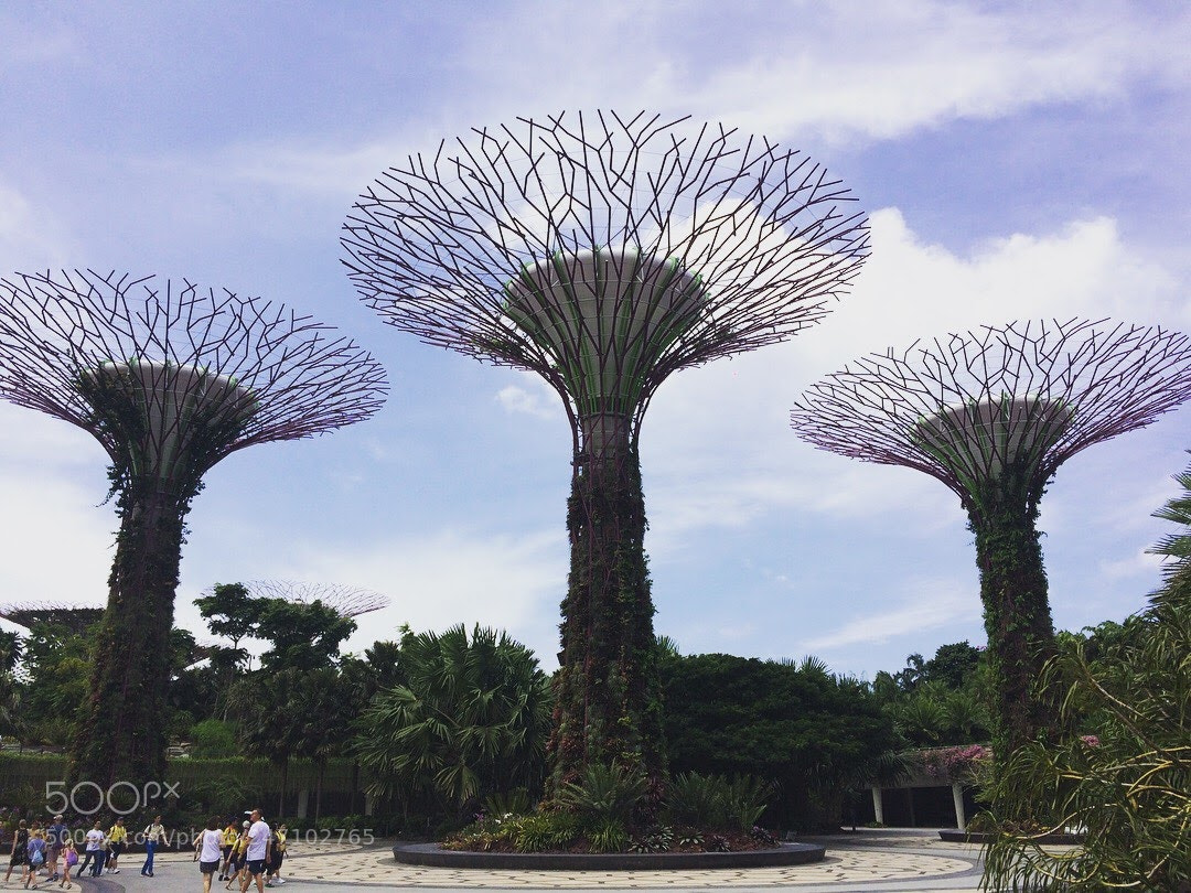 Apple iPhone 5s sample photo. Garden by the bay photography