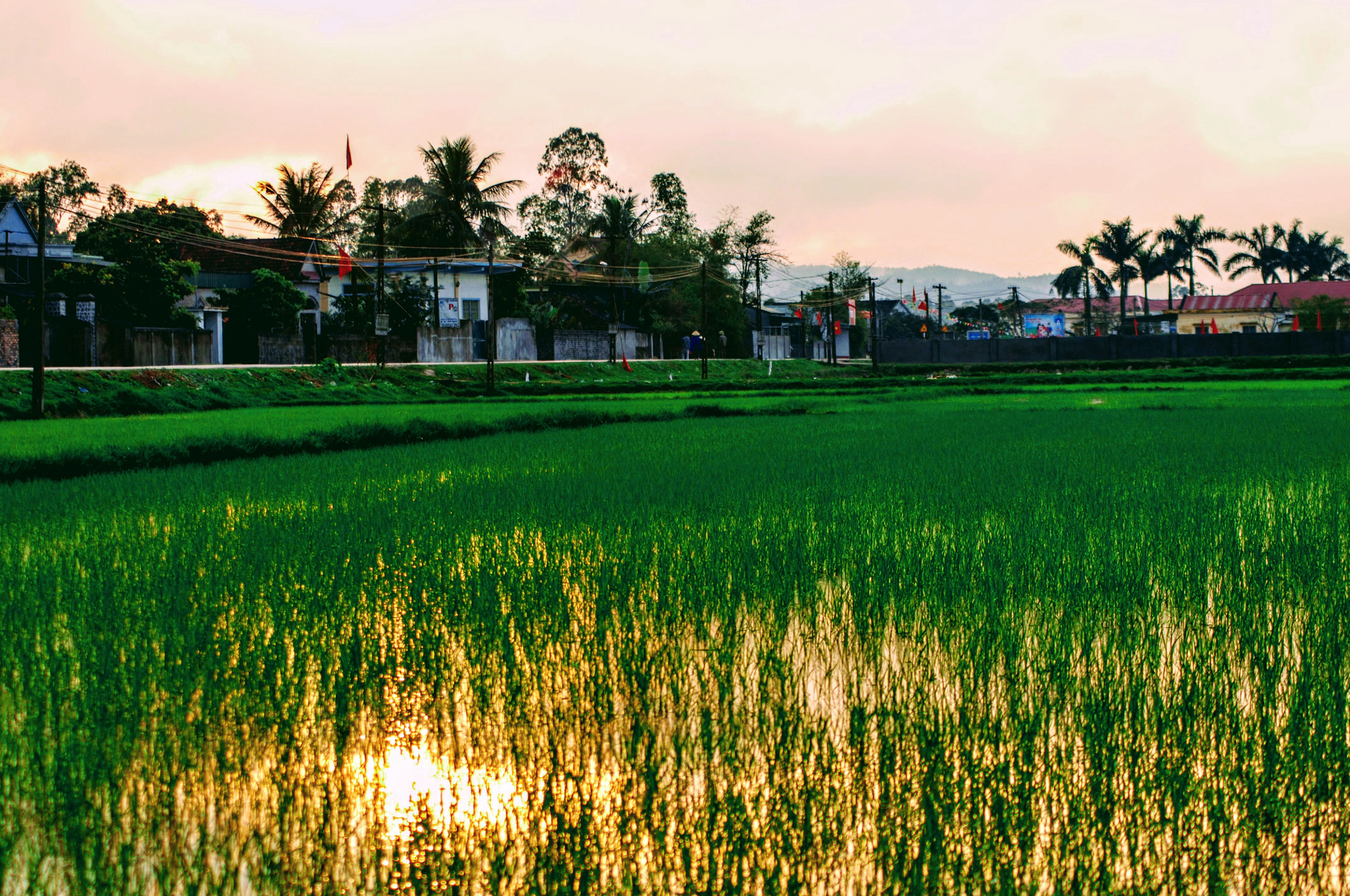 Nikon D2Xs sample photo. Vietnam photography