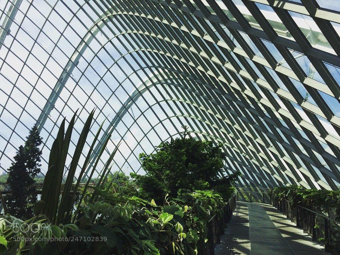 Apple iPhone 5s sample photo. Singapore photography