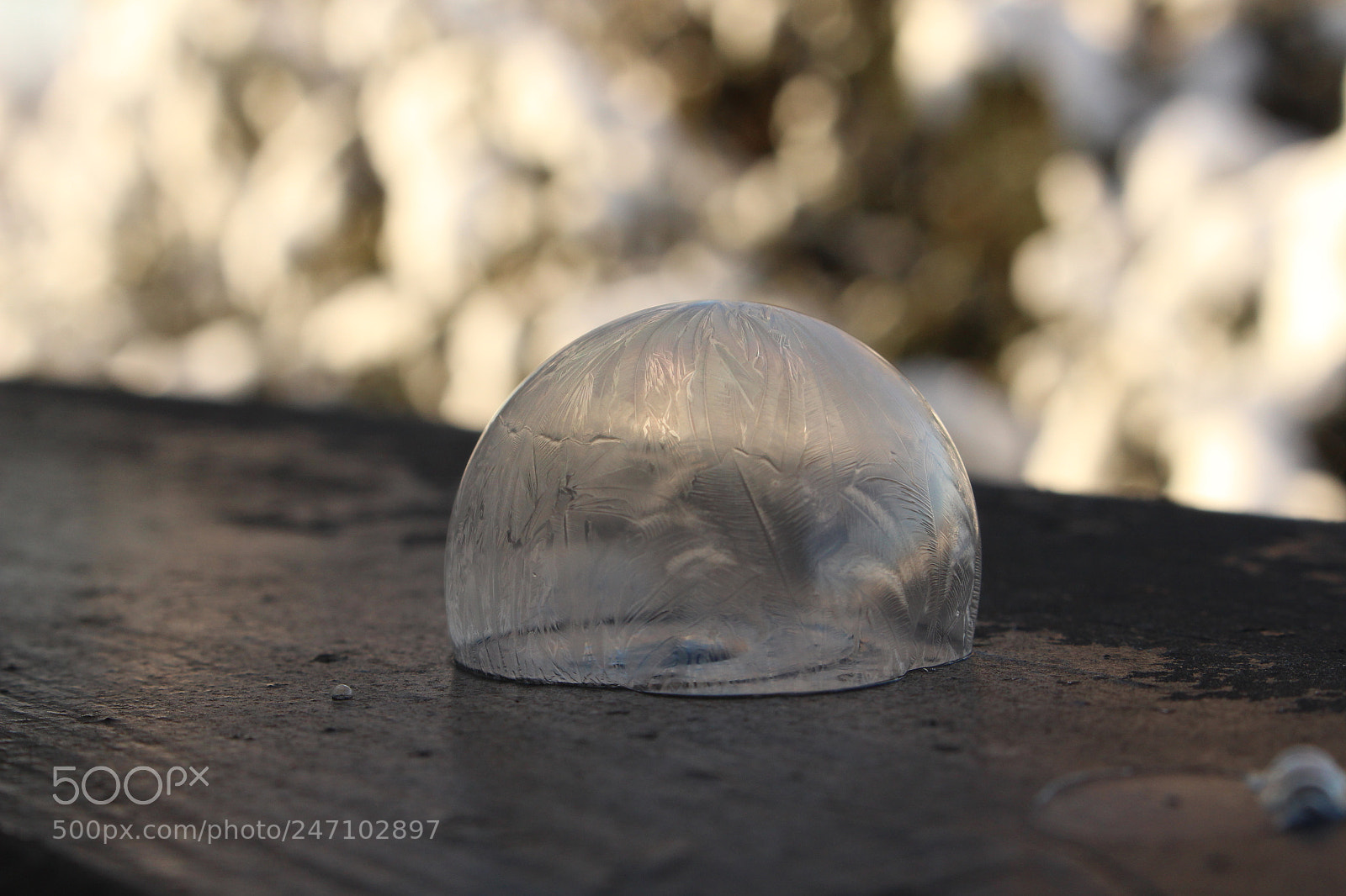 Canon EOS 700D (EOS Rebel T5i / EOS Kiss X7i) sample photo. Frozen soap bubble photography