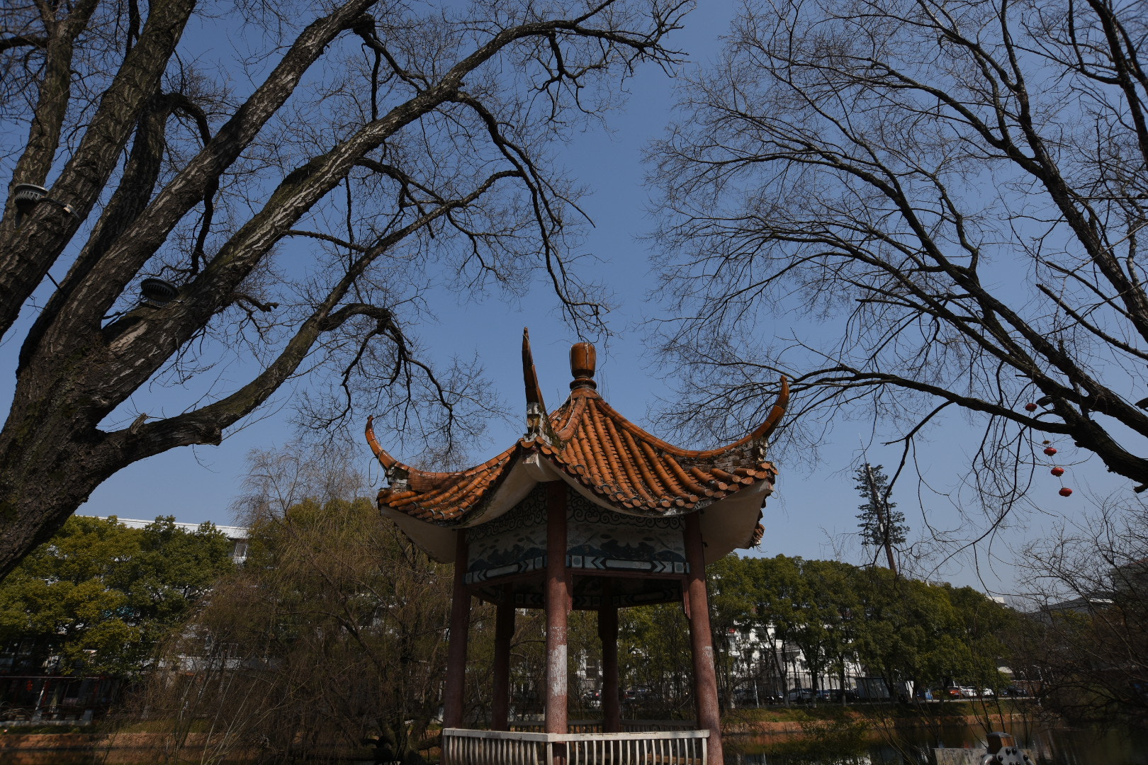 Nikon D7200 + Sigma 10-20mm F3.5 EX DC HSM sample photo. Up to sky photography