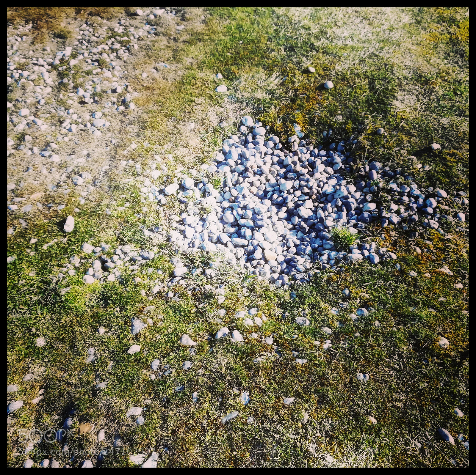HUAWEI PRA-LX1 sample photo. Nest of pebbles photography