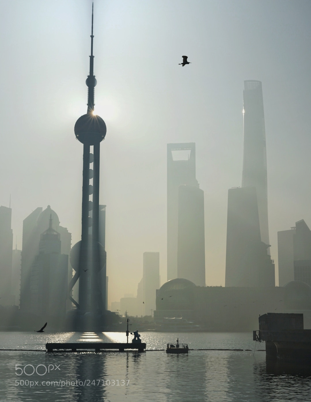 Sony a7 II sample photo. Good morning, shanghai photography