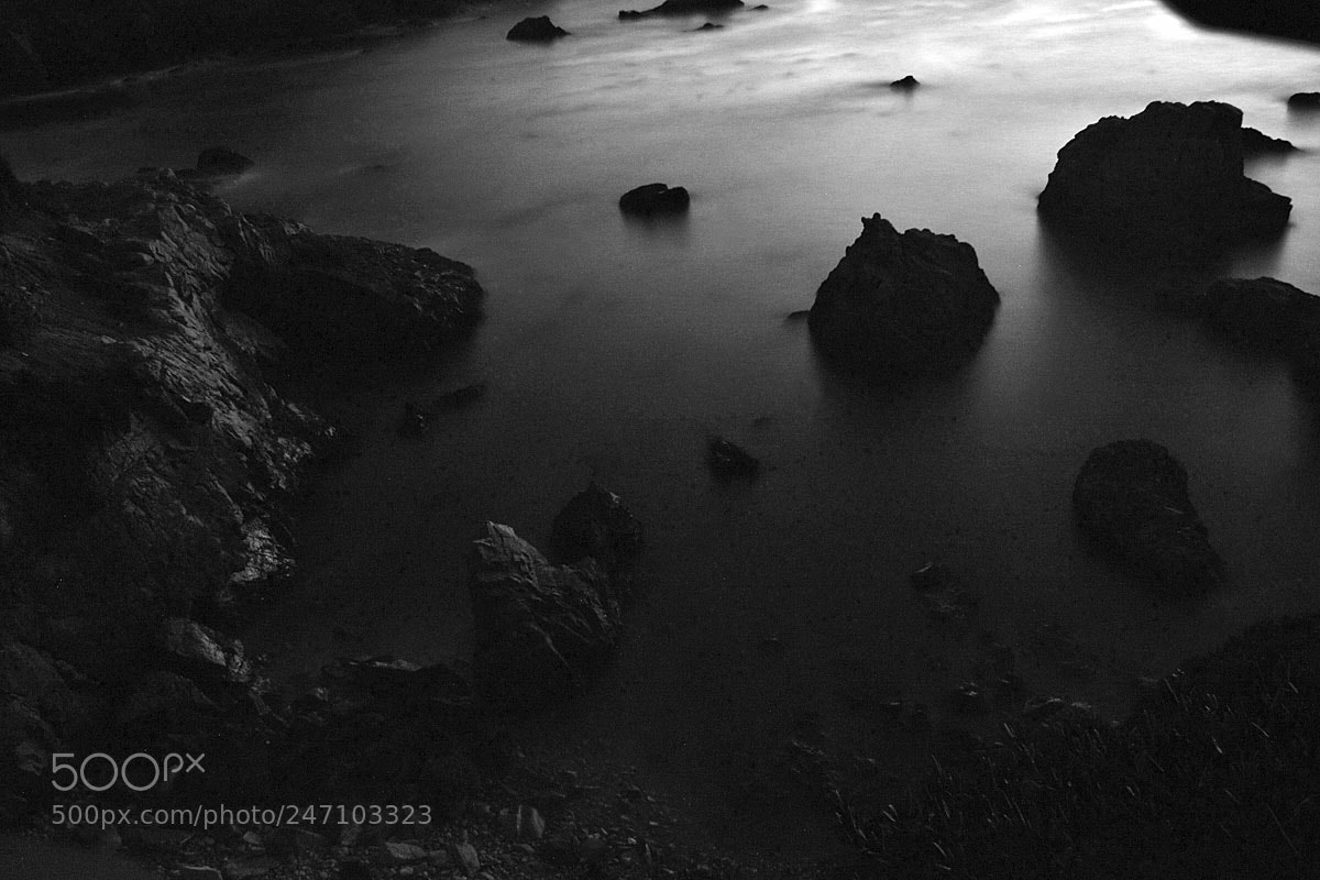 Nikon D7200 sample photo. Bw photography