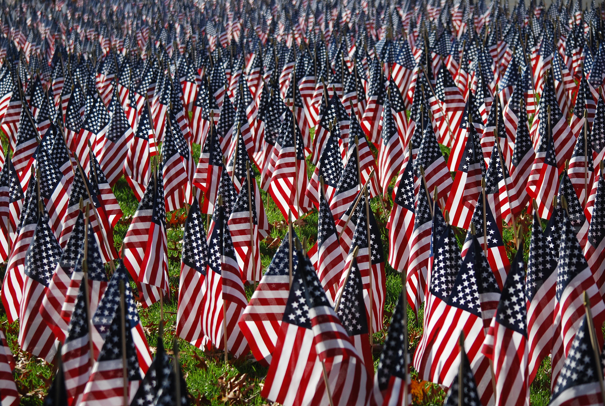 Nikon D40X sample photo. May we never forget our fallen, no matter what country. photography