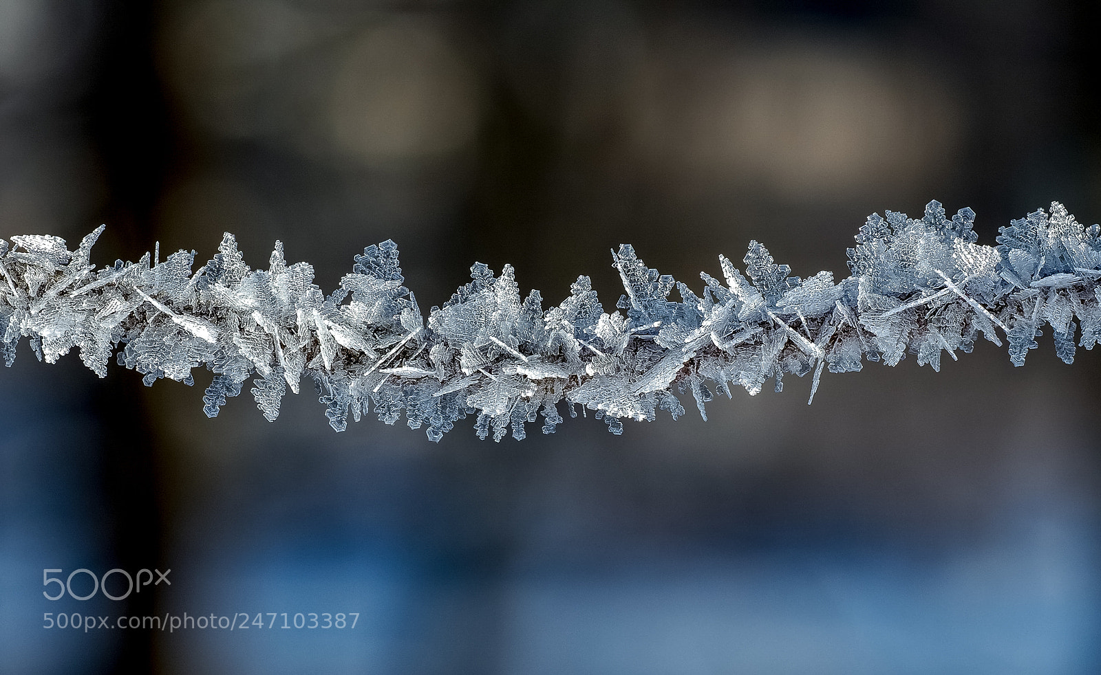 Olympus OM-D E-M1 Mark II sample photo. Winter in lithuania photography