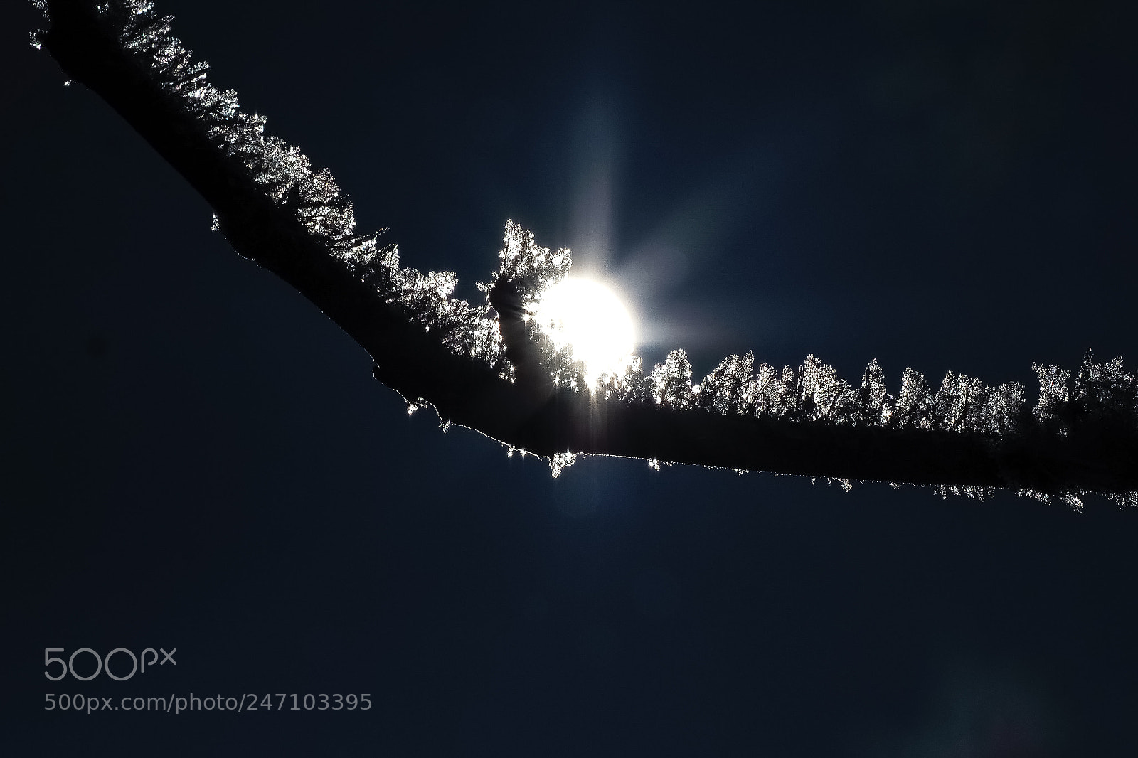 Olympus OM-D E-M1 Mark II sample photo. Winter in lithuania photography