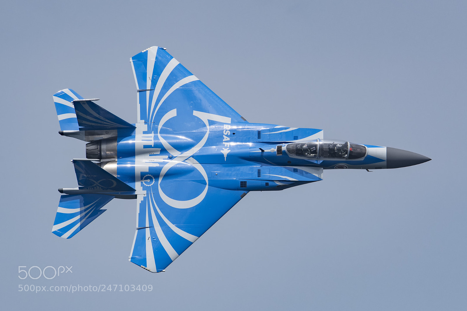 Nikon D850 sample photo. Rsaf f-15sg in 50th photography