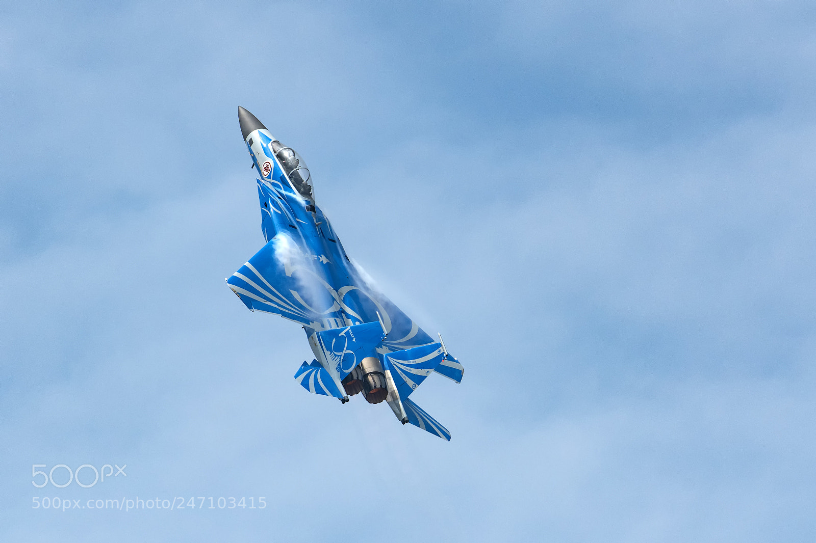 Nikon D850 sample photo. Rsaf f-15sg in 50th photography