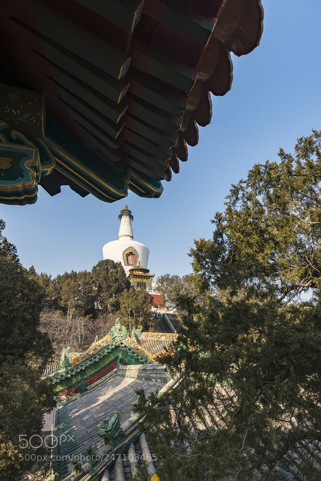 Nikon D800 sample photo. Untitled photography