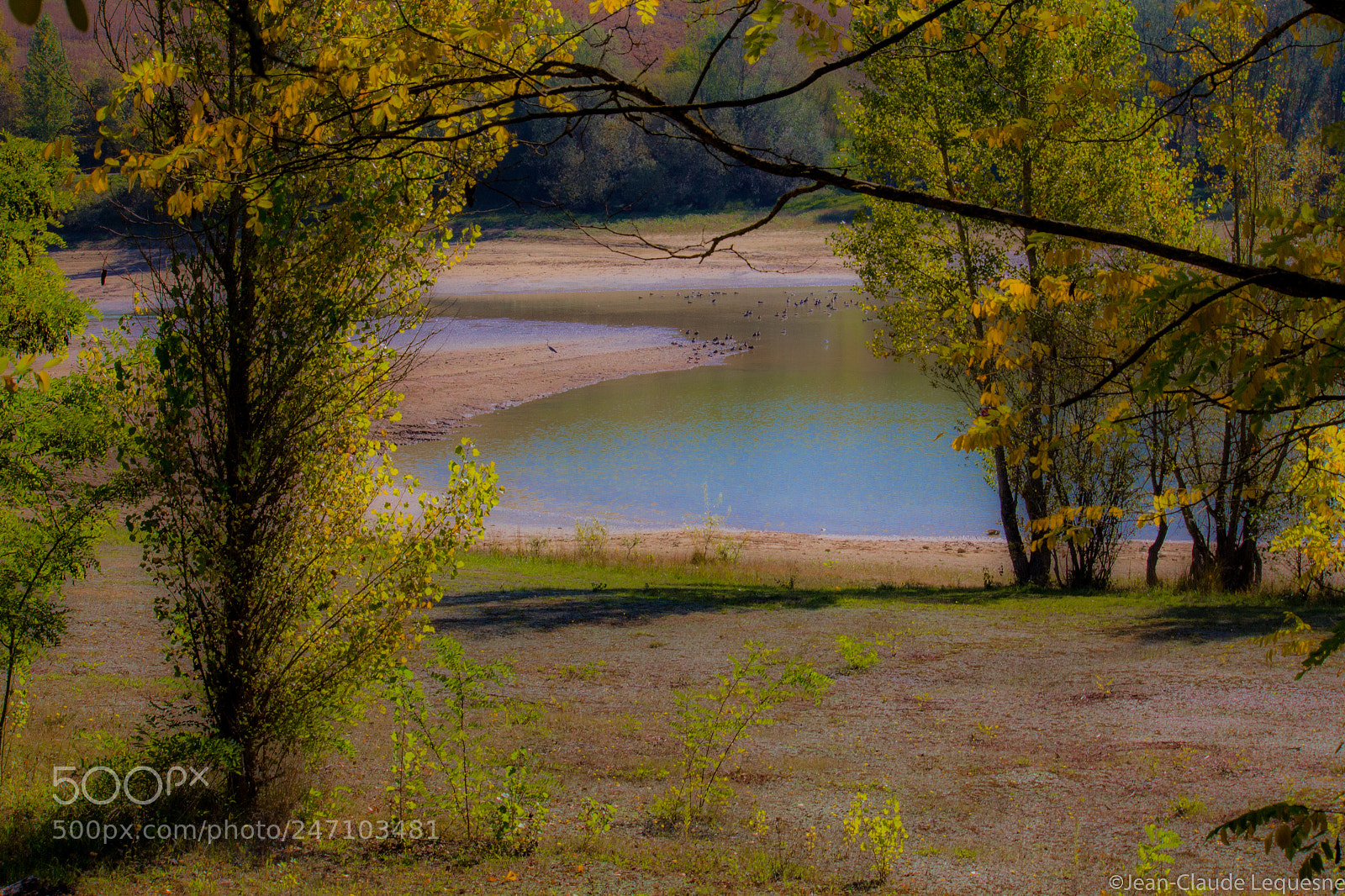 Canon EOS 60D sample photo. Autour du lac 23 photography
