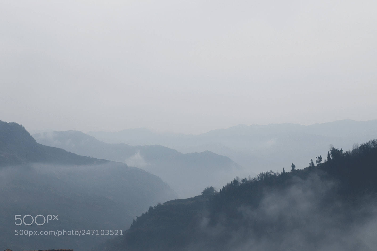 Canon EOS 6D Mark II sample photo. Untitled photography