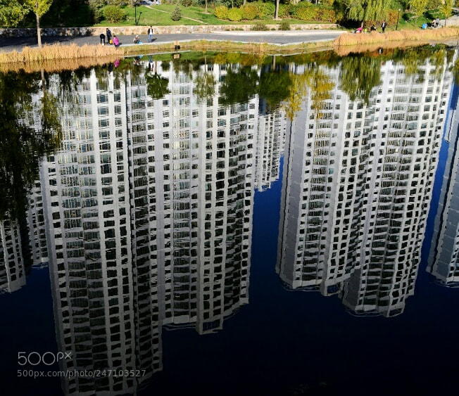 Nikon D5100 sample photo. Untitled photography