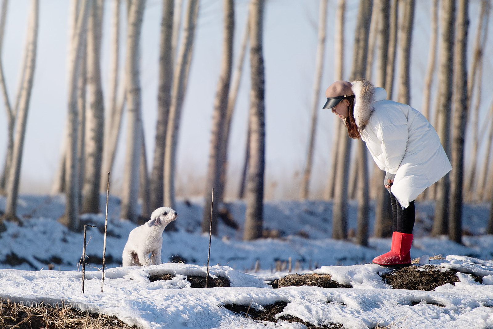 Nikon D5 sample photo. My dog & my girl photography