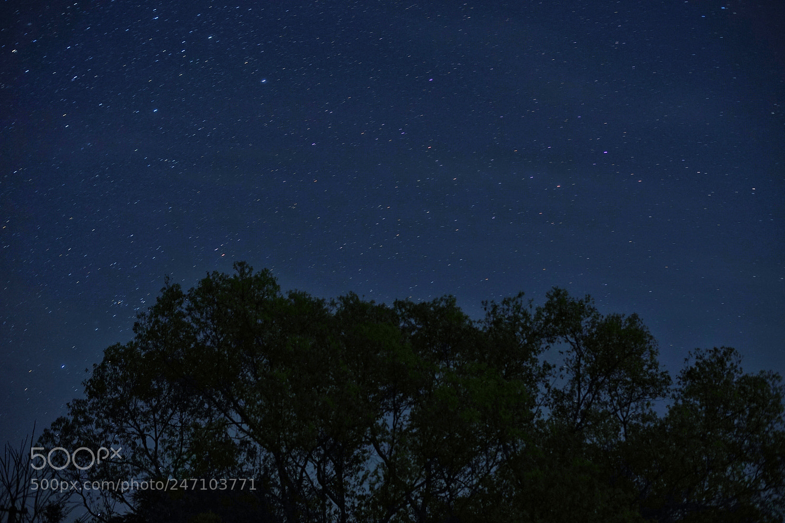 Sony a7 II sample photo. 星空 photography