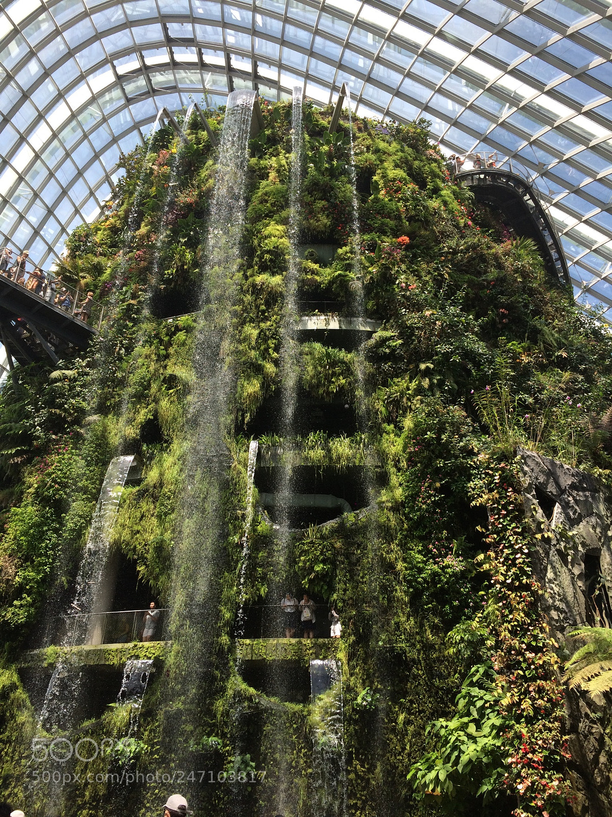 Apple iPhone 5s sample photo. Singapore photography