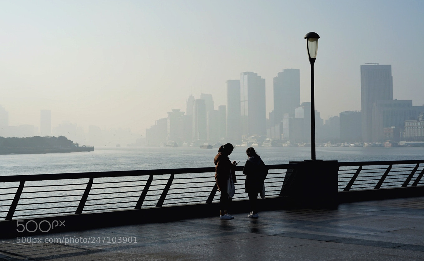 Sony a7 II sample photo. Morning photography