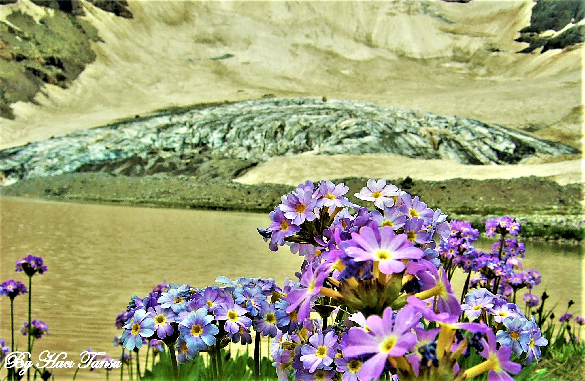 DIGITAL CAM sample photo. Hakkari buzulları ve yaz. photography