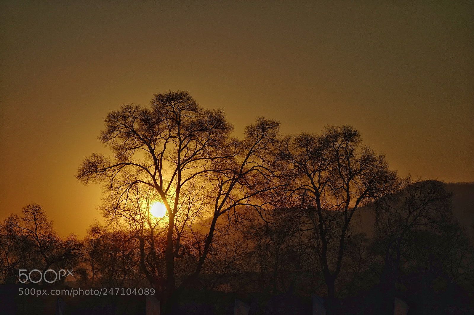 Sony Cyber-shot DSC-RX100 sample photo. Sunrise photography