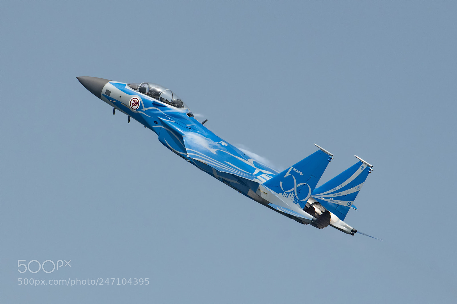 Nikon D850 sample photo. Rsaf f-15sg in 50th photography