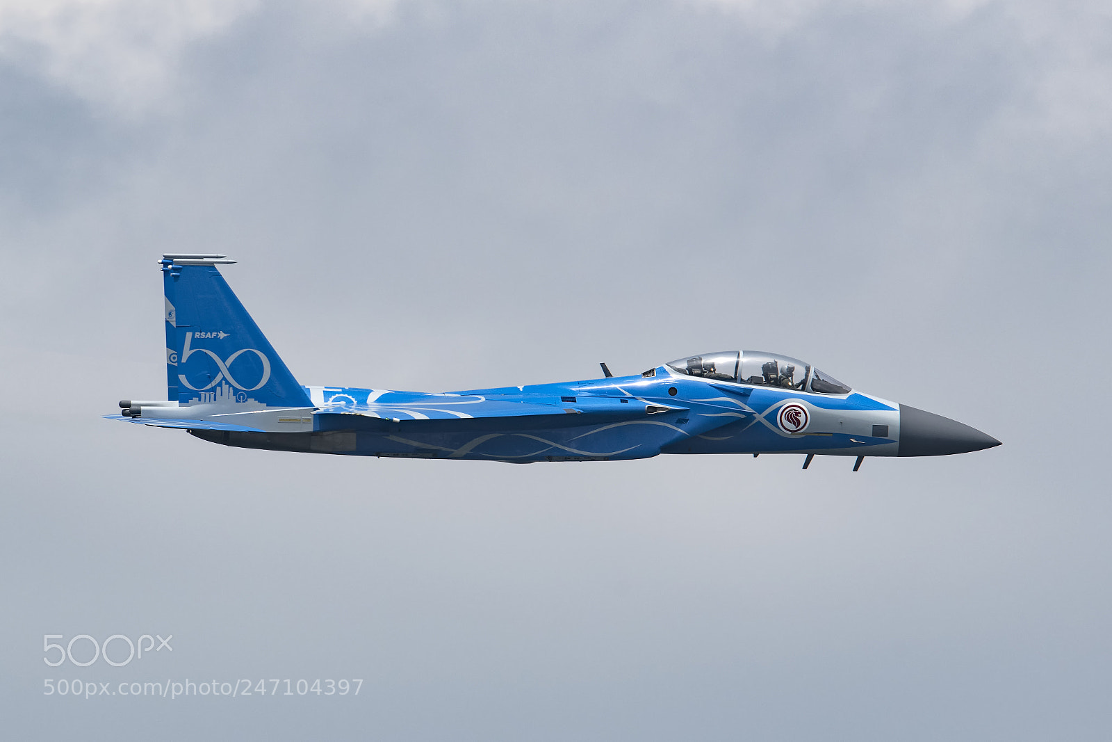 Nikon D850 sample photo. Rsaf f-15sg in 50th photography