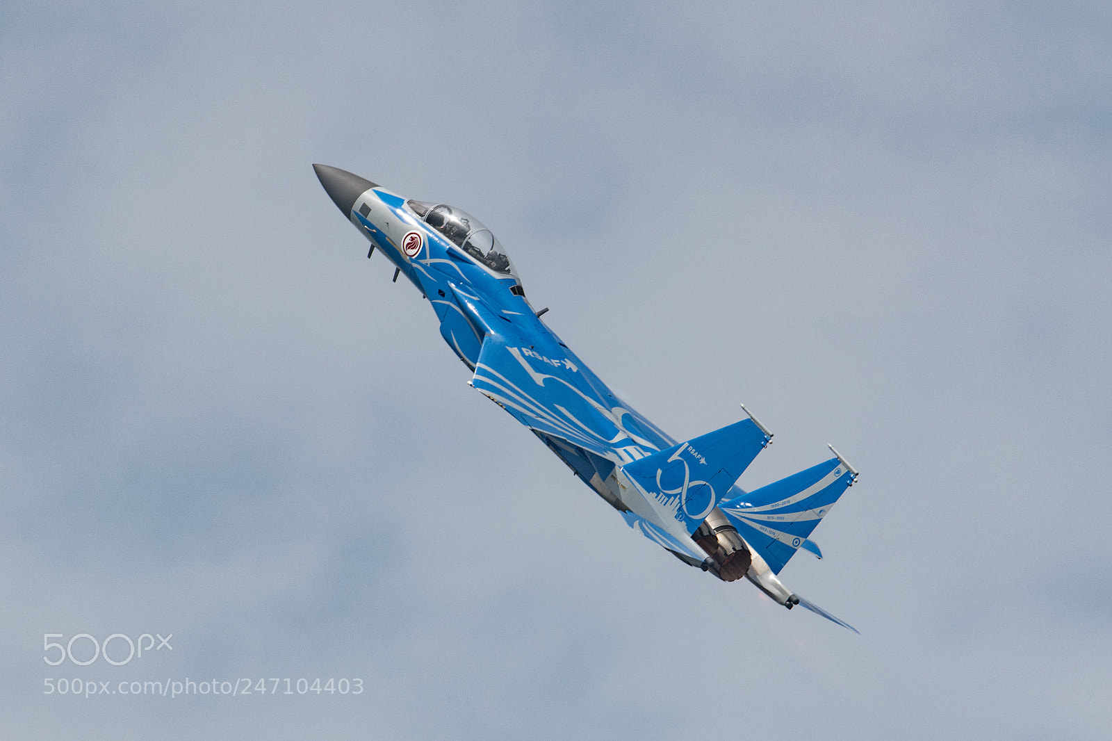 Nikon D850 sample photo. Rsaf f-15sg in 50th photography