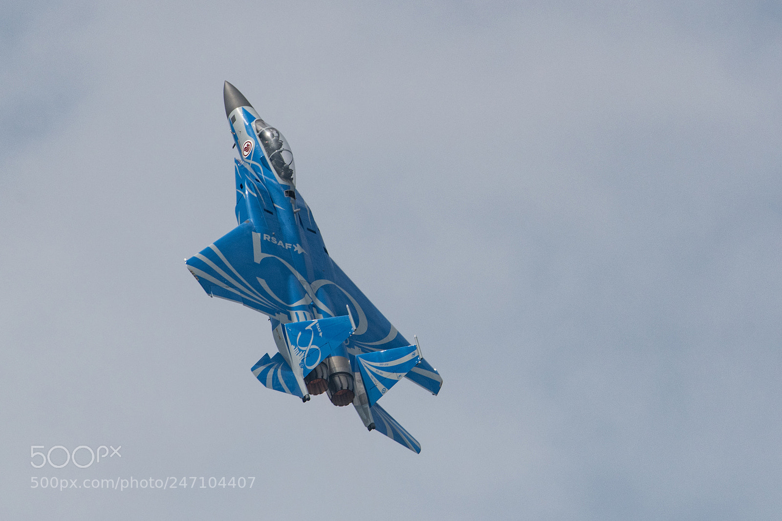 Nikon D850 sample photo. Rsaf f-15sg in 50th photography