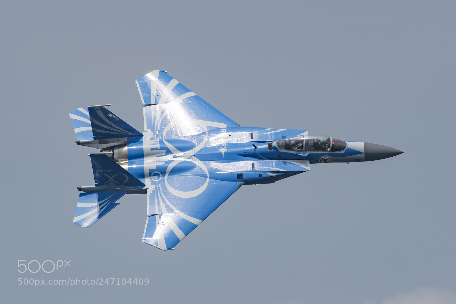Nikon D850 sample photo. Rsaf f-15sg in 50th photography