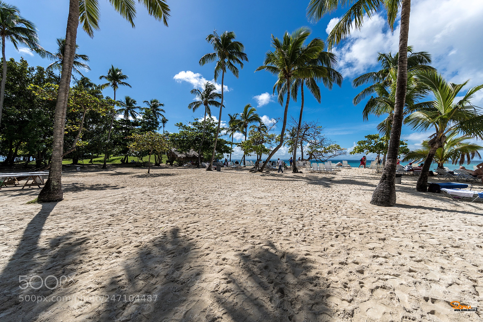Canon EOS-1D X Mark II sample photo. Cayo levantado beach ii photography