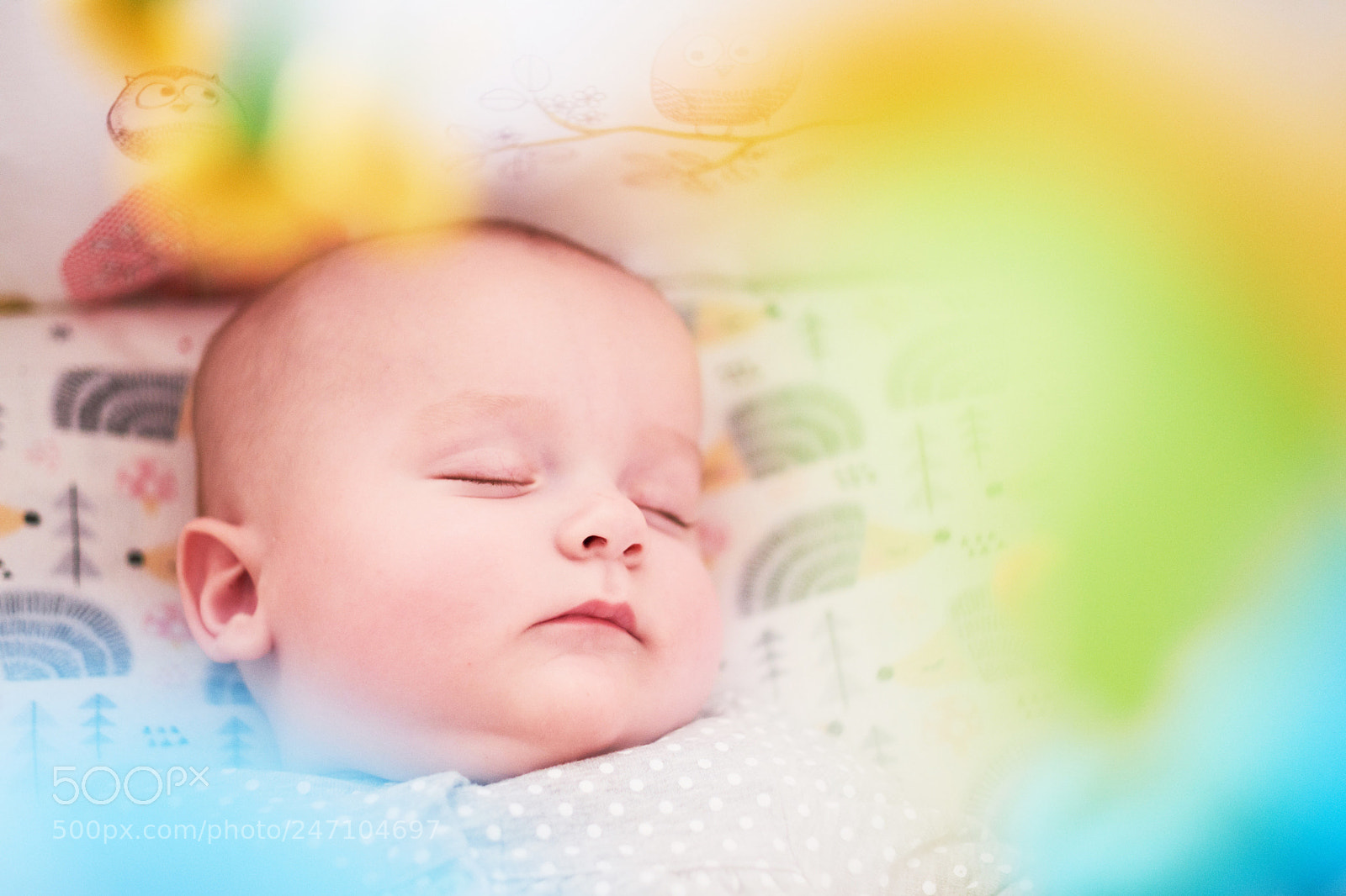 Fujifilm X-T20 sample photo. Sleeping beauty photography