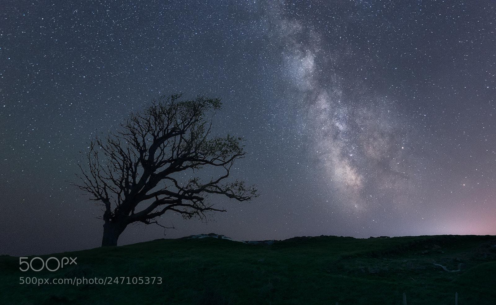 Nikon D800E sample photo. One tree hill, under photography