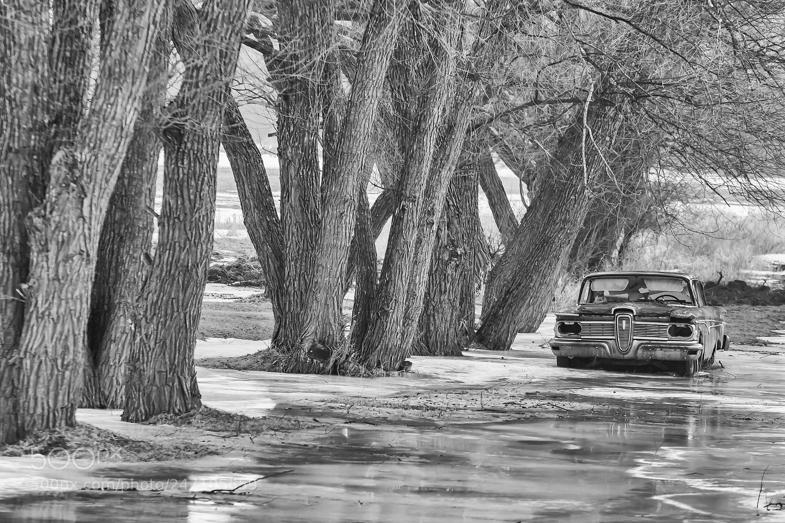 Canon EOS 60D sample photo. Long term storage photography