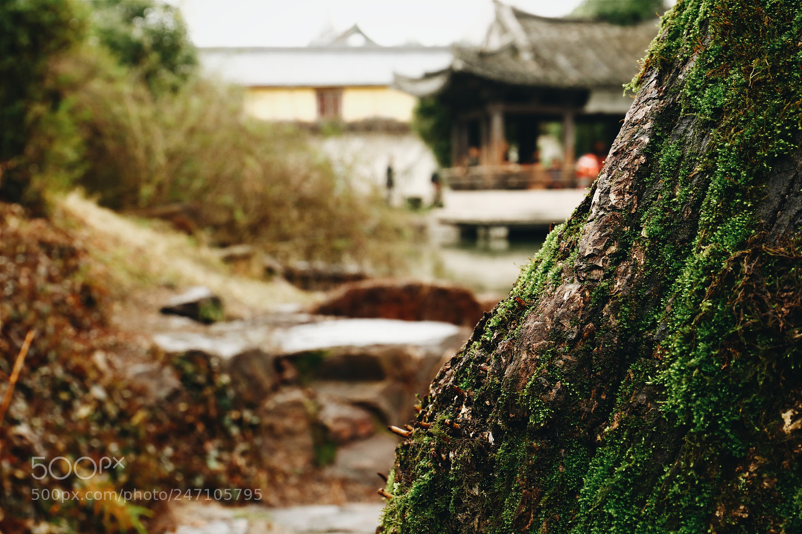 Canon EOS 80D sample photo. Untitled photography