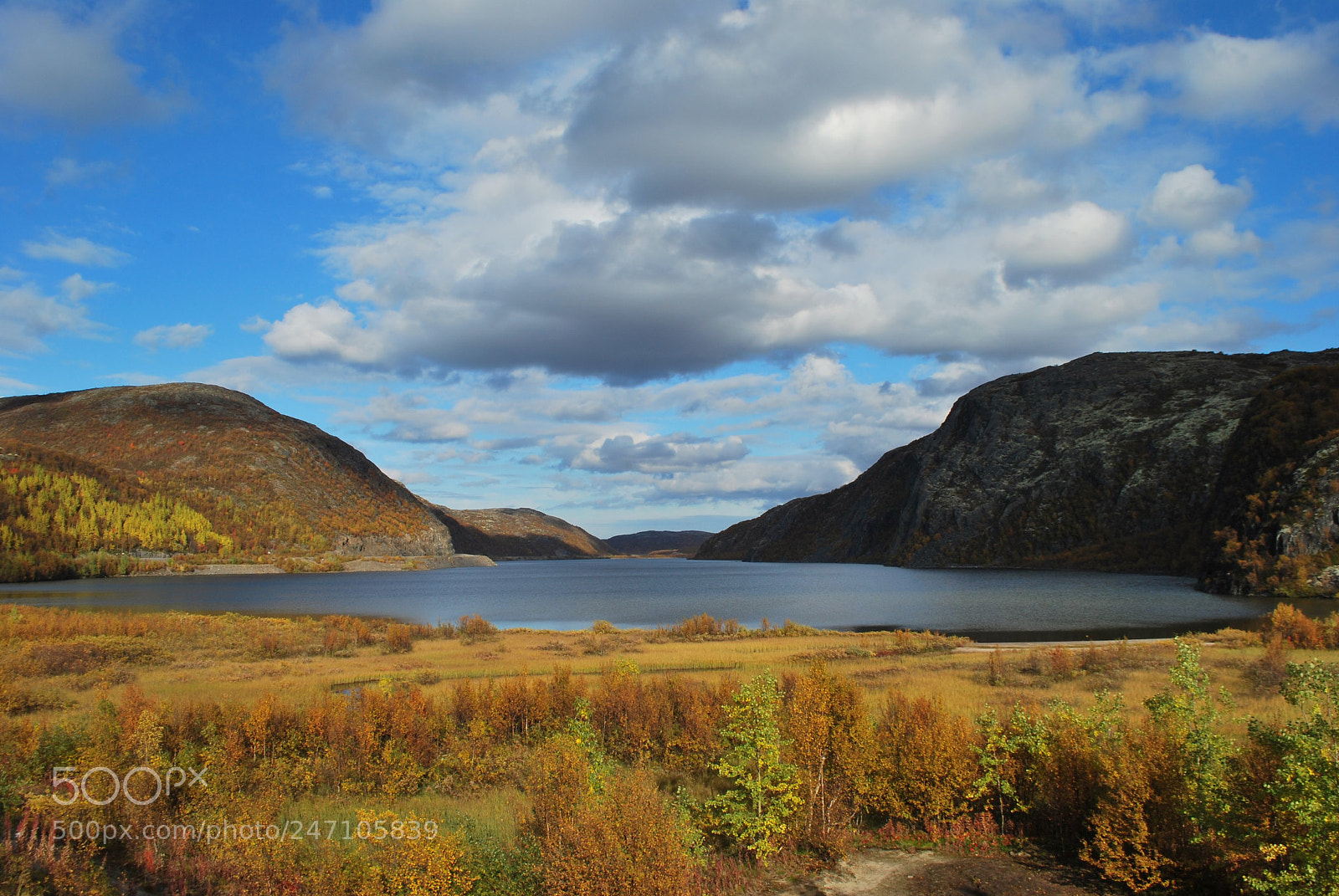 Nikon D60 sample photo. Wild lake photography