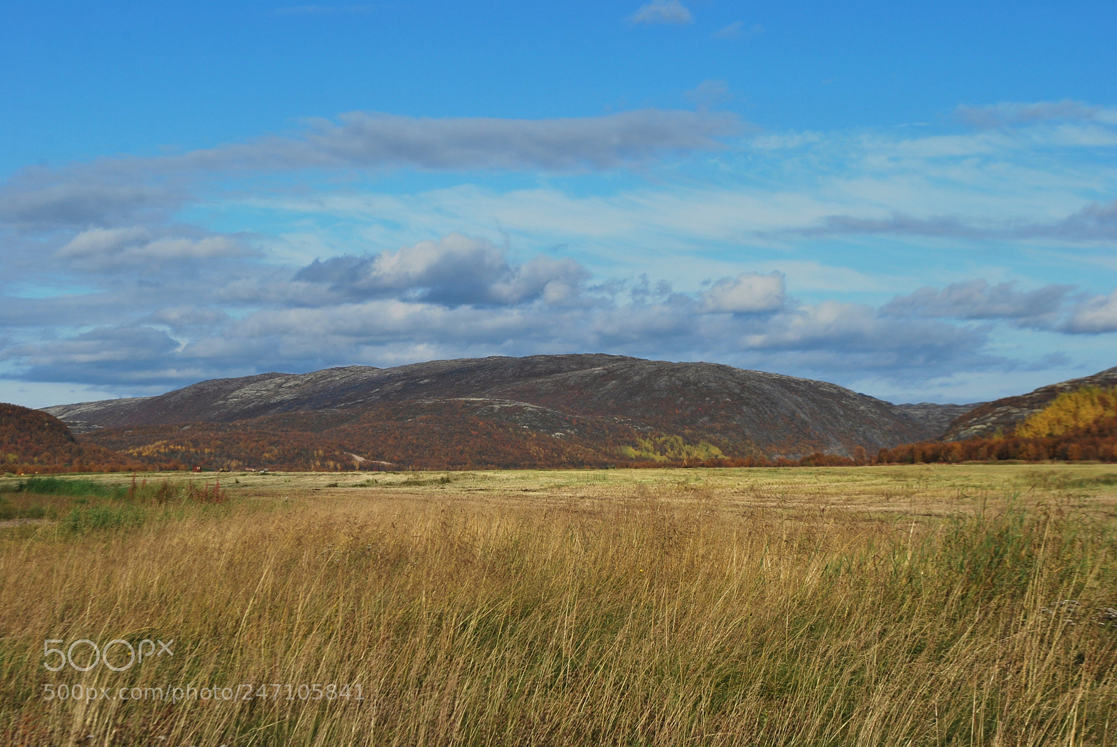 Nikon D60 sample photo. 314 meters photography