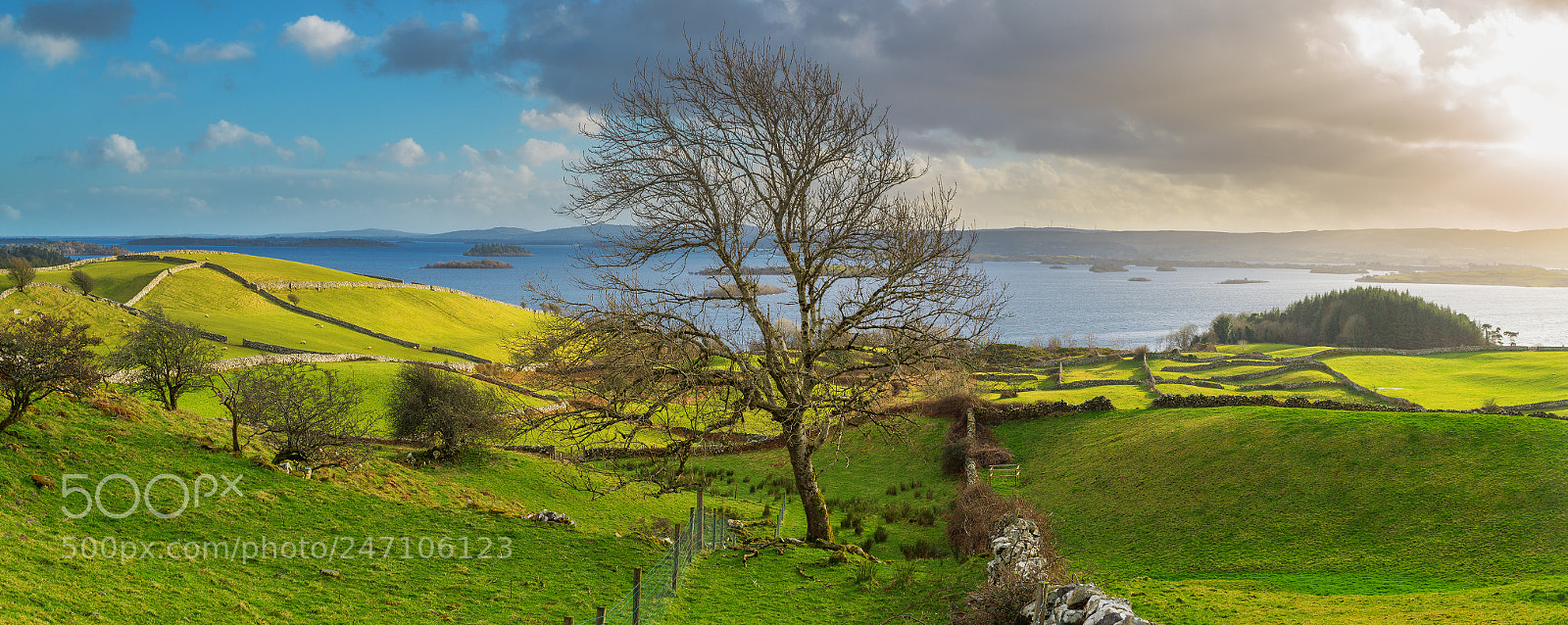 Nikon D800E sample photo. Ireland photography