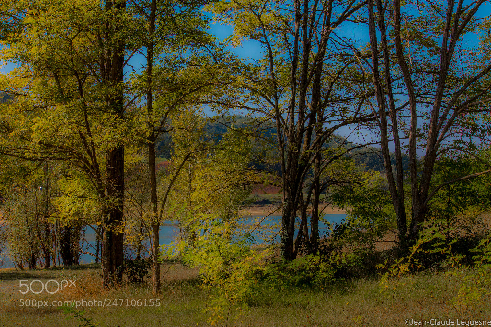 Canon EOS 60D sample photo. Autour du lac 25 photography