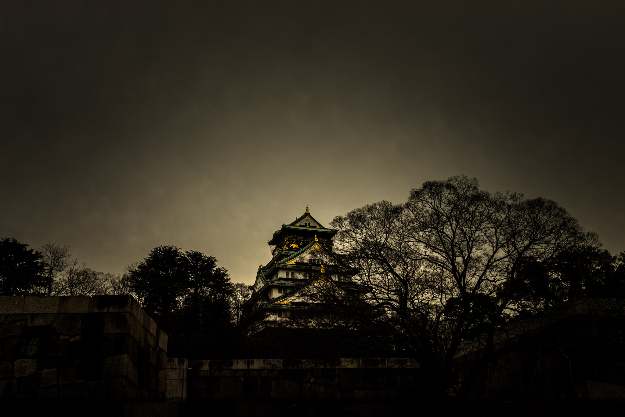 Sony Cyber-shot DSC-RX1R sample photo. Flashy castle photography
