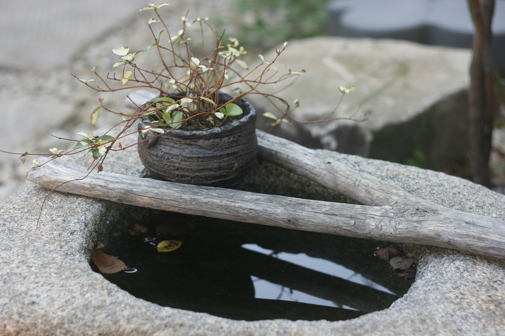 Canon EF 50mm F1.8 II sample photo. Oriental flowerpot photography