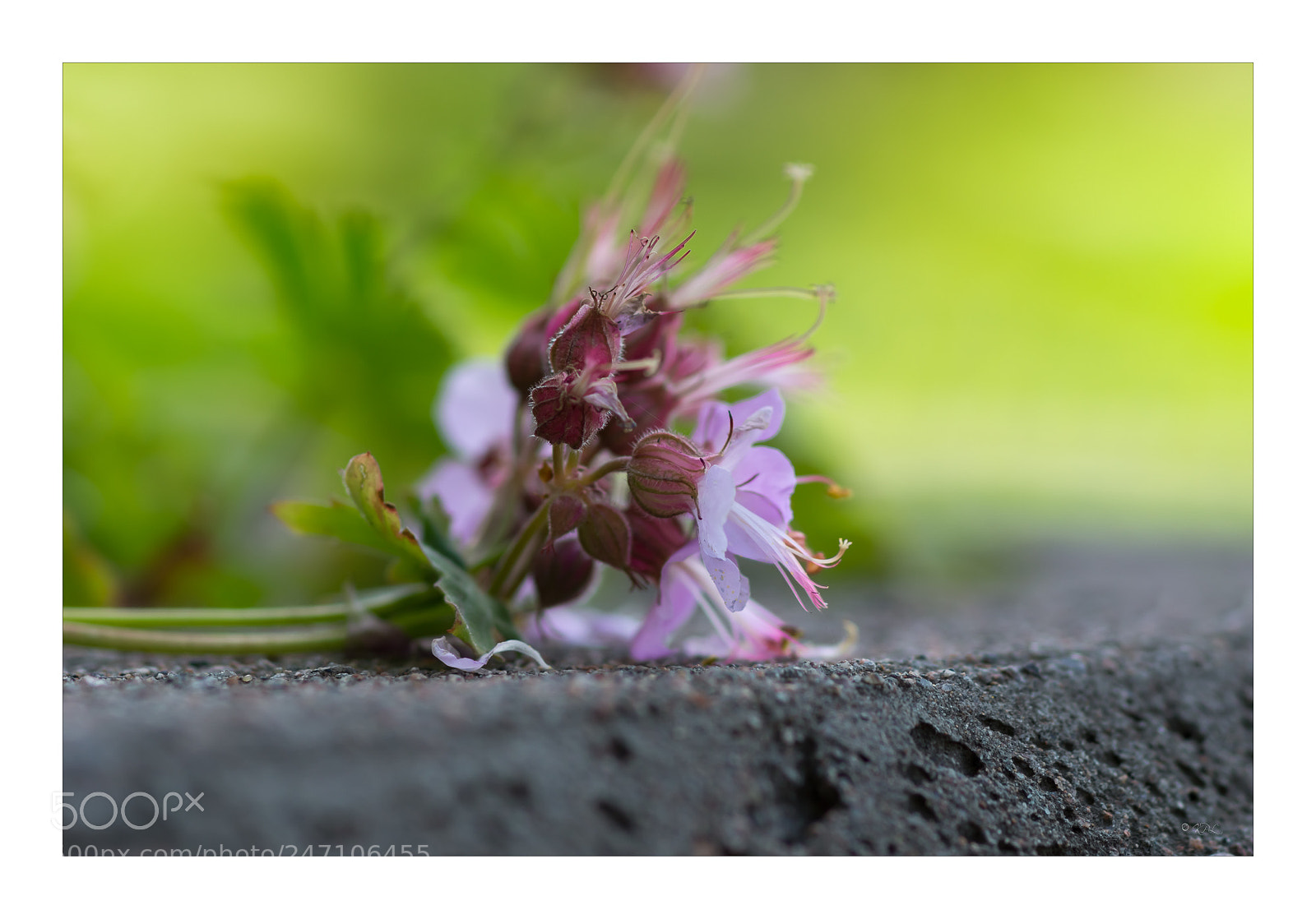 Sony SLT-A77 sample photo. We all need sometimes photography