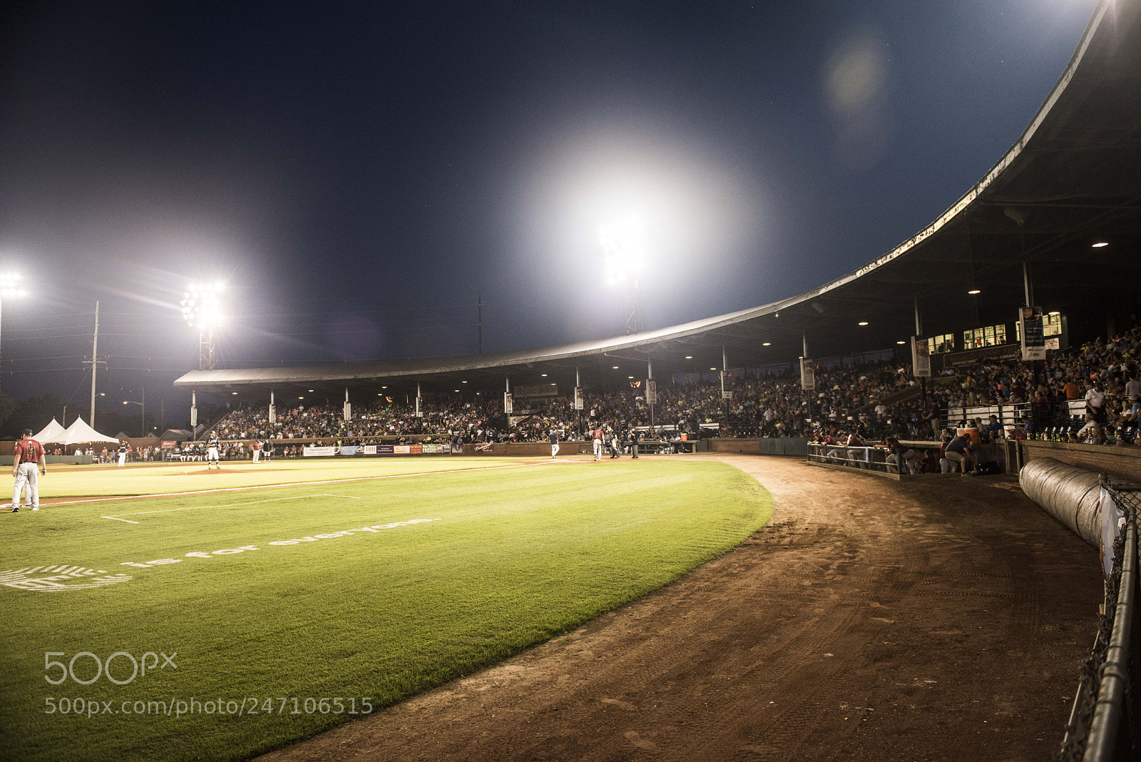 Nikon D810 sample photo. E night at the photography