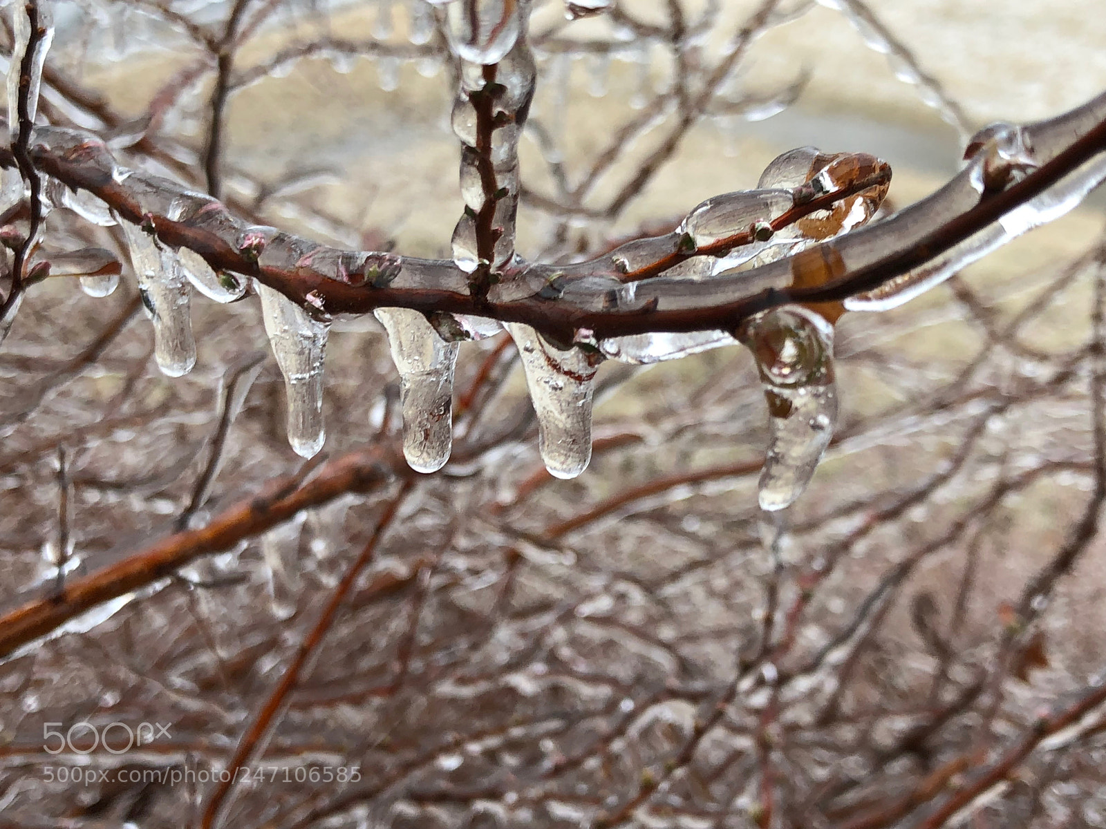 Apple iPhone X sample photo. Cold as ice photography