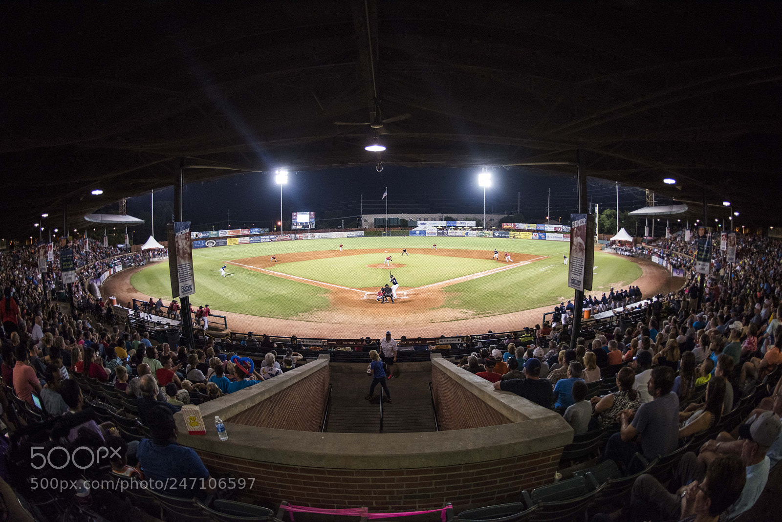 Nikon D810 sample photo. E night at the photography